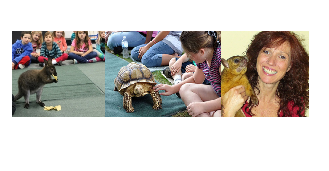 animals and people